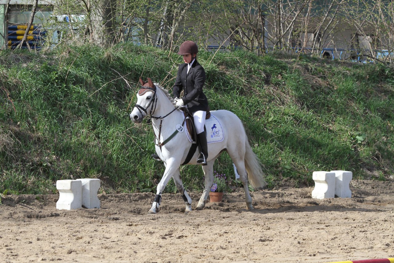 Bild 901 - WBO-Turnier am 9.4.11